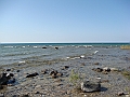 Western Michigan [2010] 840